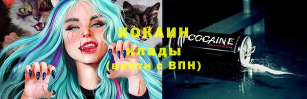 соль ск Волосово