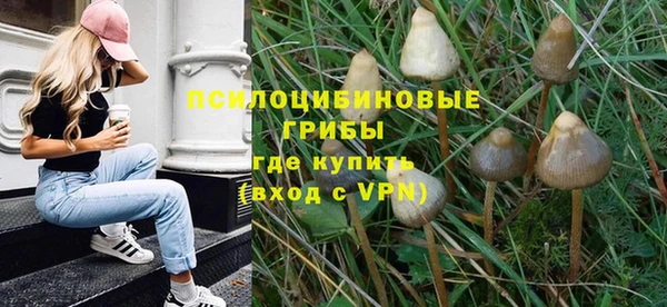 соль ск Волосово