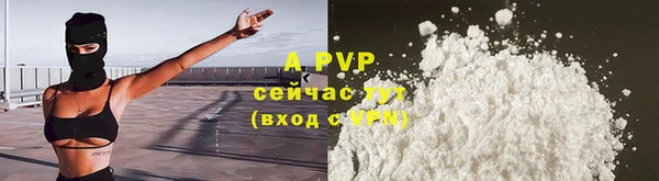соль ск Волосово