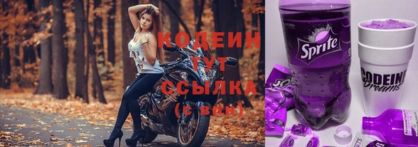 соль ск Волосово