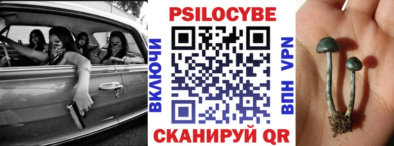 Купить где  Нижний Ломов  Псилоцибиновые грибы GOLDEN TEACHER 